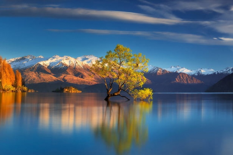 Wanaka Gölü, Yeni Zelanda