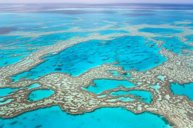 Büyük Bariyer Resifi, Avustralya 