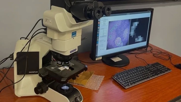 Google, Yapay Zekalı Mikroskopla Kanser Tespitini Kolaylaştırmayı Hedefliyor