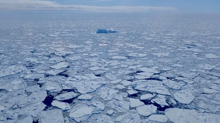 Antarktika'da Deniz Buzu Miktarı 45 Yılda En Düşük Seviyeye İndi!