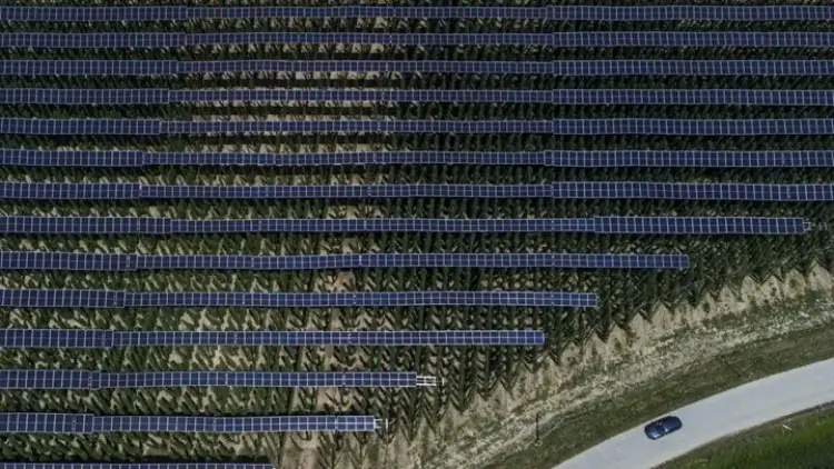 Otoyollar Güneş Panelleriyle Aydınlanıyor: Yeni Enerji Dönemi Başlıyor!