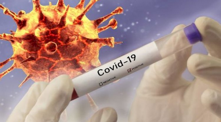 Coronavirus bir durgunluğa yol açacak mı? Tarihteki Salgınlardan Ne Öğrenebiliriz