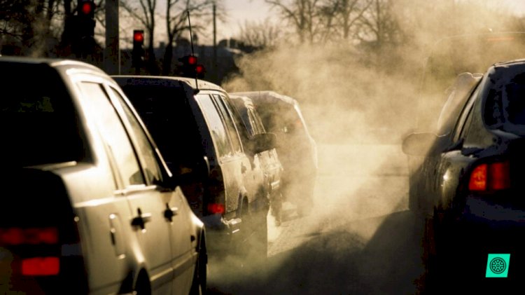 Artan Otoimmün Hastalık Riskine Bağlı Hava Kirliliği