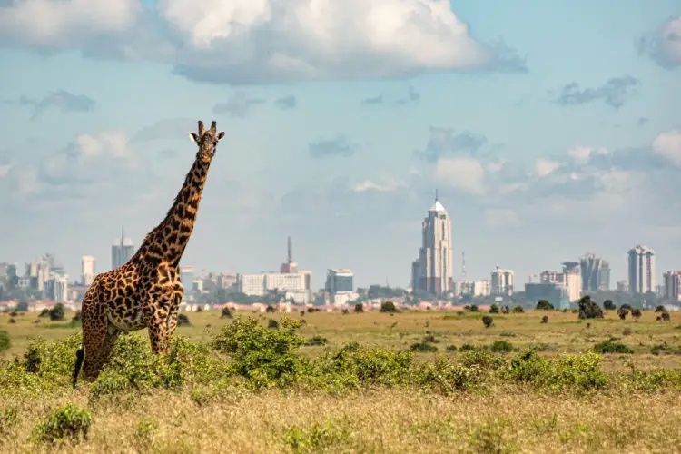 Nairobi, Kenya