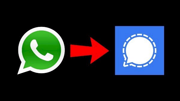 whatsapp gruplarini signale nasil aktaririm2348
