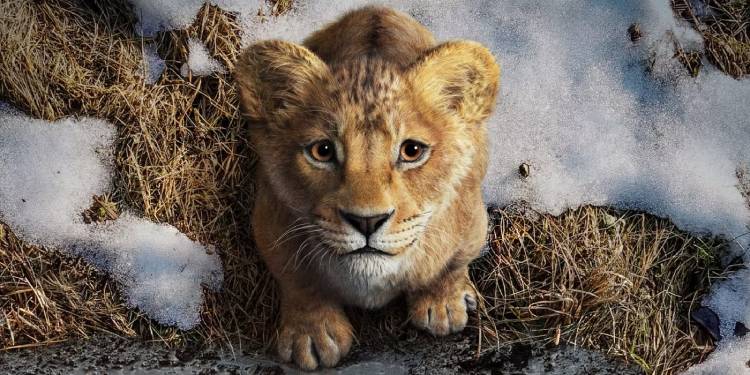 Yeni Aslan Kral Filmi Mufasa Fragmanı Paylaşıldı